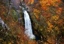 日本東北冬季：走入人間秘景、探索日本工藝