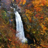 日本東北冬季：走入人間秘景、探索日本工藝