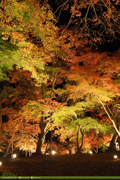 月石紅葉公園(月の石もみじ公園)