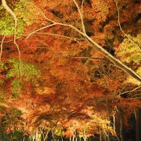 月石紅葉公園(月の石もみじ公園)