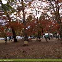 月石紅葉公園(月の石もみじ公園)