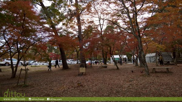 月石紅葉公園(月の石もみじ公園)