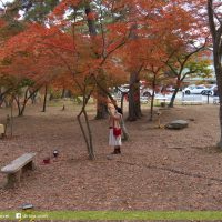 月石紅葉公園(月の石もみじ公園)