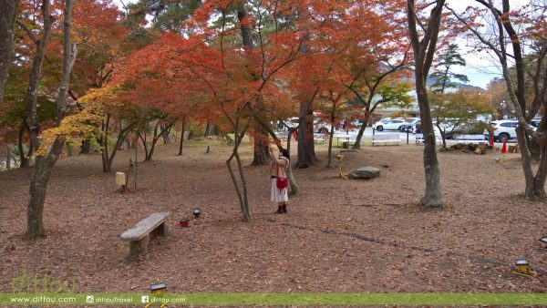 月石紅葉公園(月の石もみじ公園)