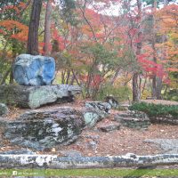 月石紅葉公園(月の石もみじ公園)