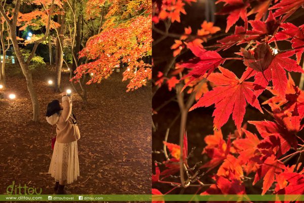 月石紅葉公園(月の石もみじ公園)