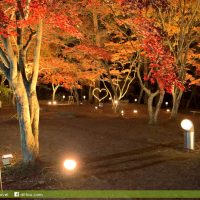 月石紅葉公園(月の石もみじ公園)