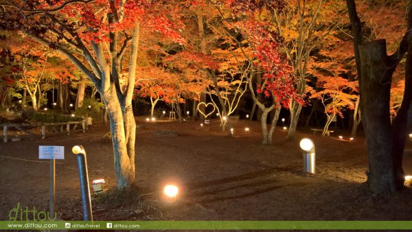 月石紅葉公園(月の石もみじ公園)